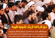 حوزه و دانشگاه ؛ دو شاخه از یک شجره طیبه