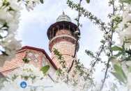 اجرای احکام اسلامی در جامعه