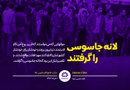 لانه جاسوسی را گرفتند