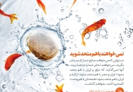 نمی‌خواهند باهم متحد شوید