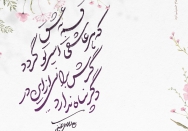 قسم به عشق که هر عاشقی اسیر تو گردد