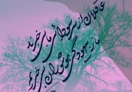 عاقلان از سر سودائی ما بی‌خبرند