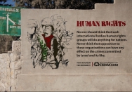 The Impact of International Organizations on Israeli Crimes