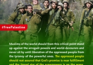 The decline of the star of the arrogant