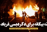 توطئه بیگانه برای دگردیسی فریاد ملت