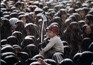 فوت امام