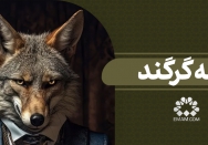 همه گرگند
