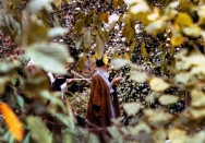 امام در فرانسه