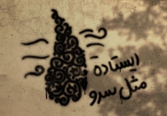 ایستاده مثل سرو