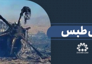 مثل طبس