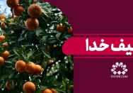 تکلیف خدا