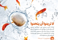 إنهم لا يريدون أن يتحدوا