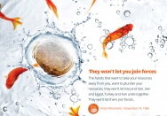 They do not want to unite