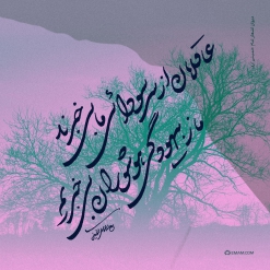 عاقلان از سر سودائی ما بی‌خبرند