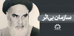 سازمان بی‌اثر