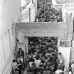 مدرسه علوی
