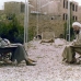 امام و آقای اشراقی