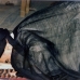 امام در نجف
