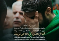 از همین گریه‌ها می‌ترسند